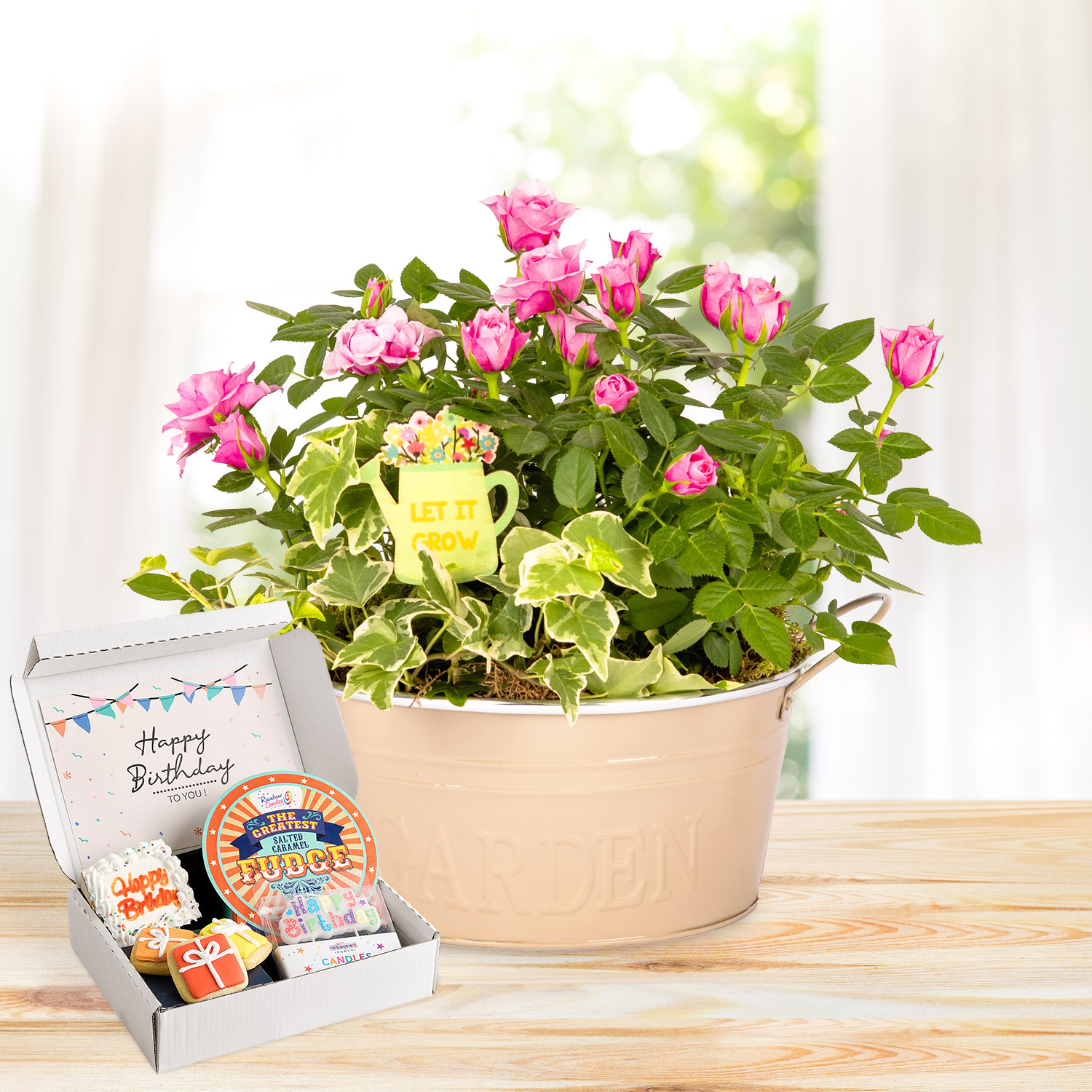 Rosy Mix Planter Ultimate Birthday Gift