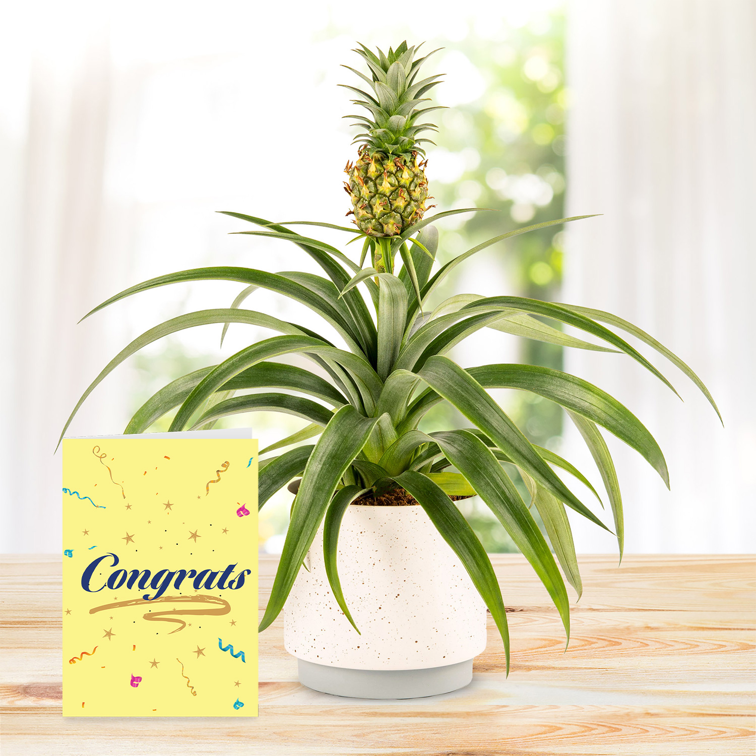 Spring Pineapple with Congratulations Card