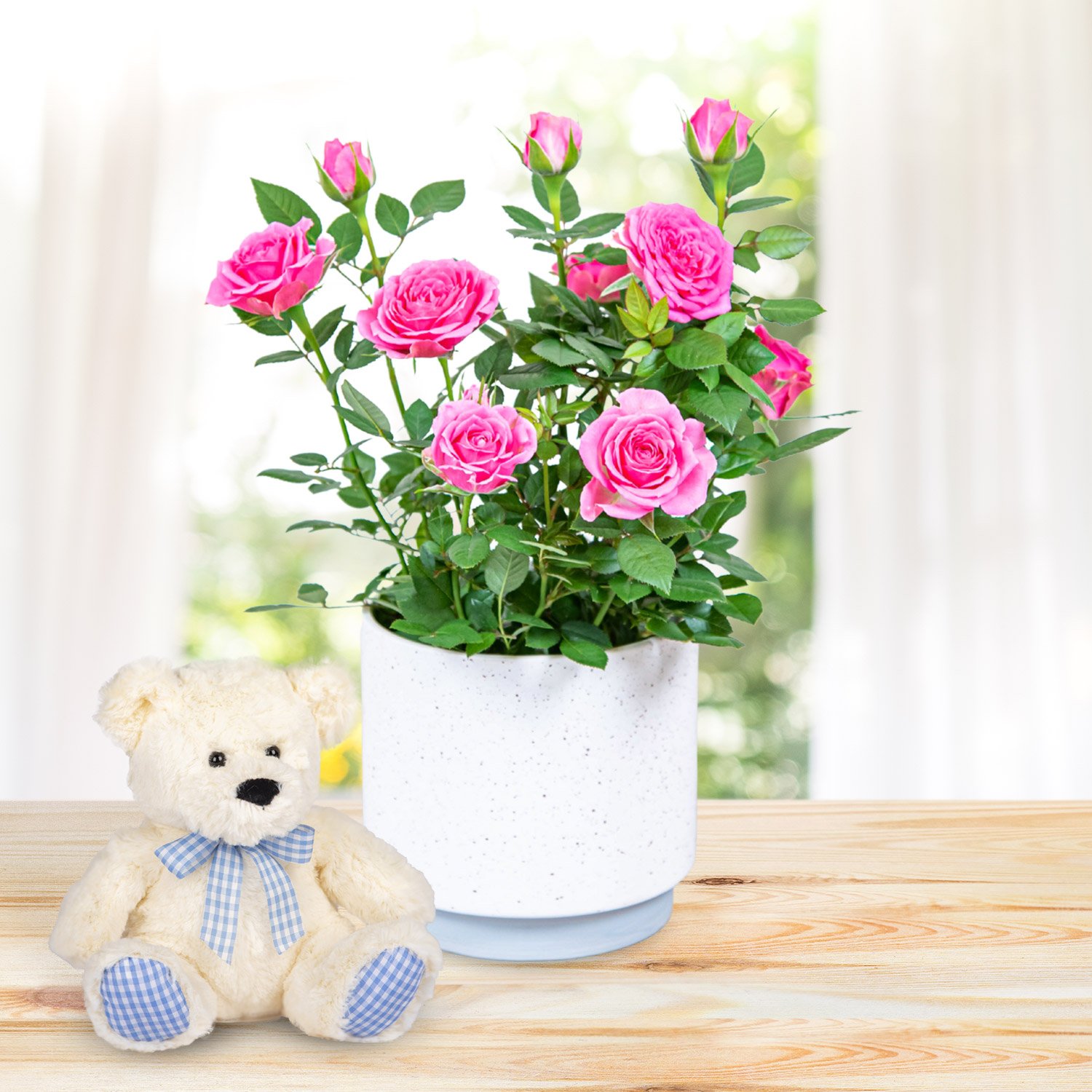 Timeless Roses & Bear Gift 