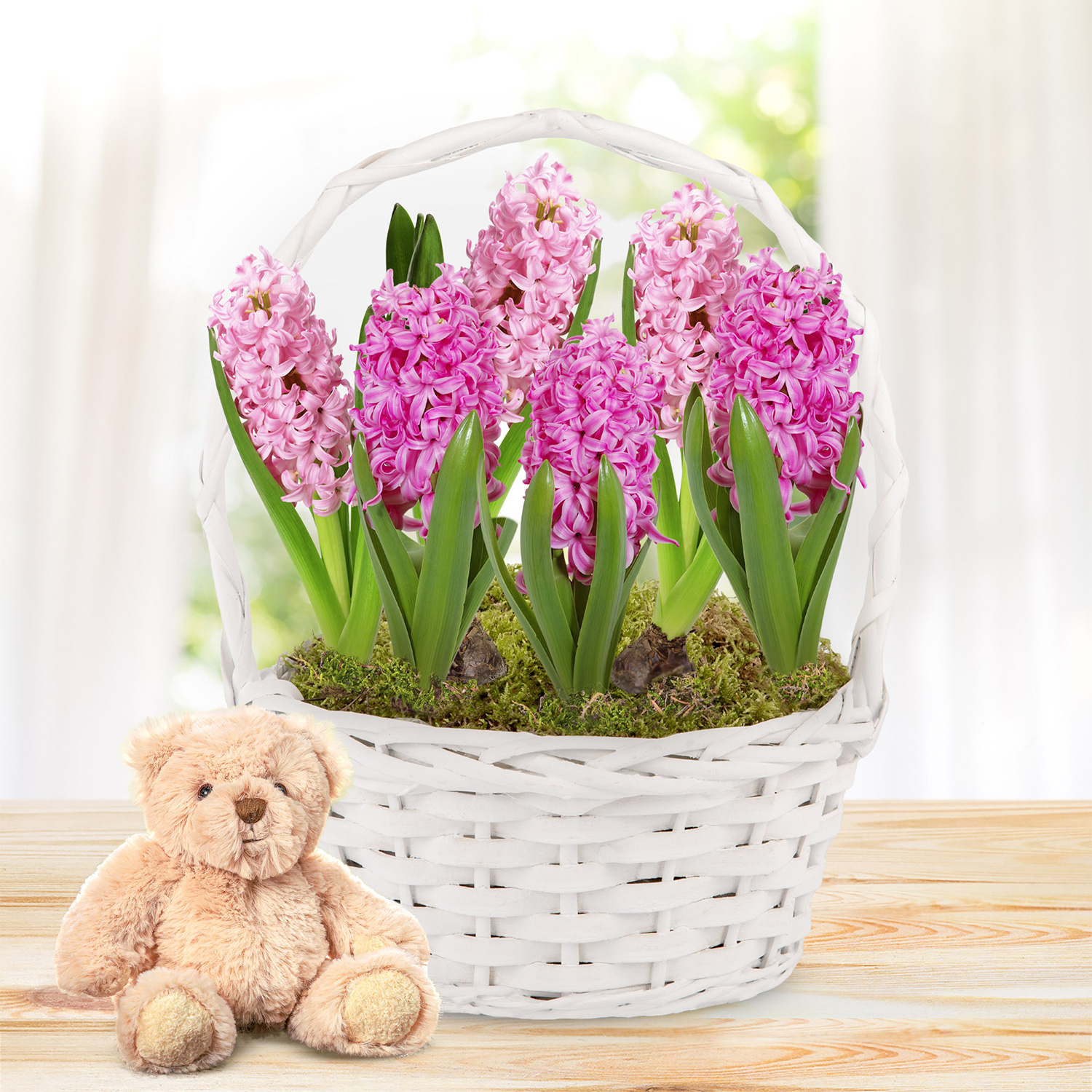 Pink Hyacinth Basket & Bear Gift