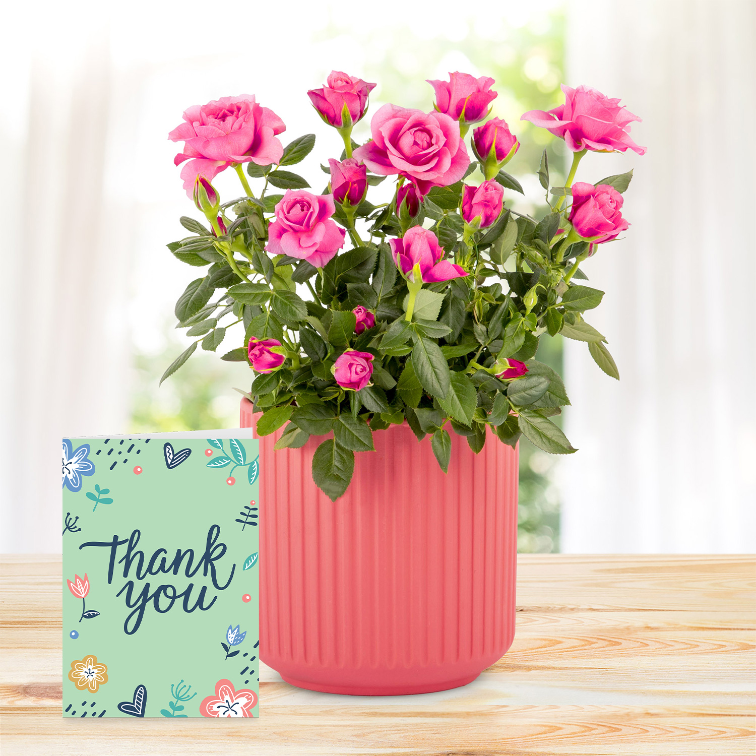 Timeless Roses with Thank You Card