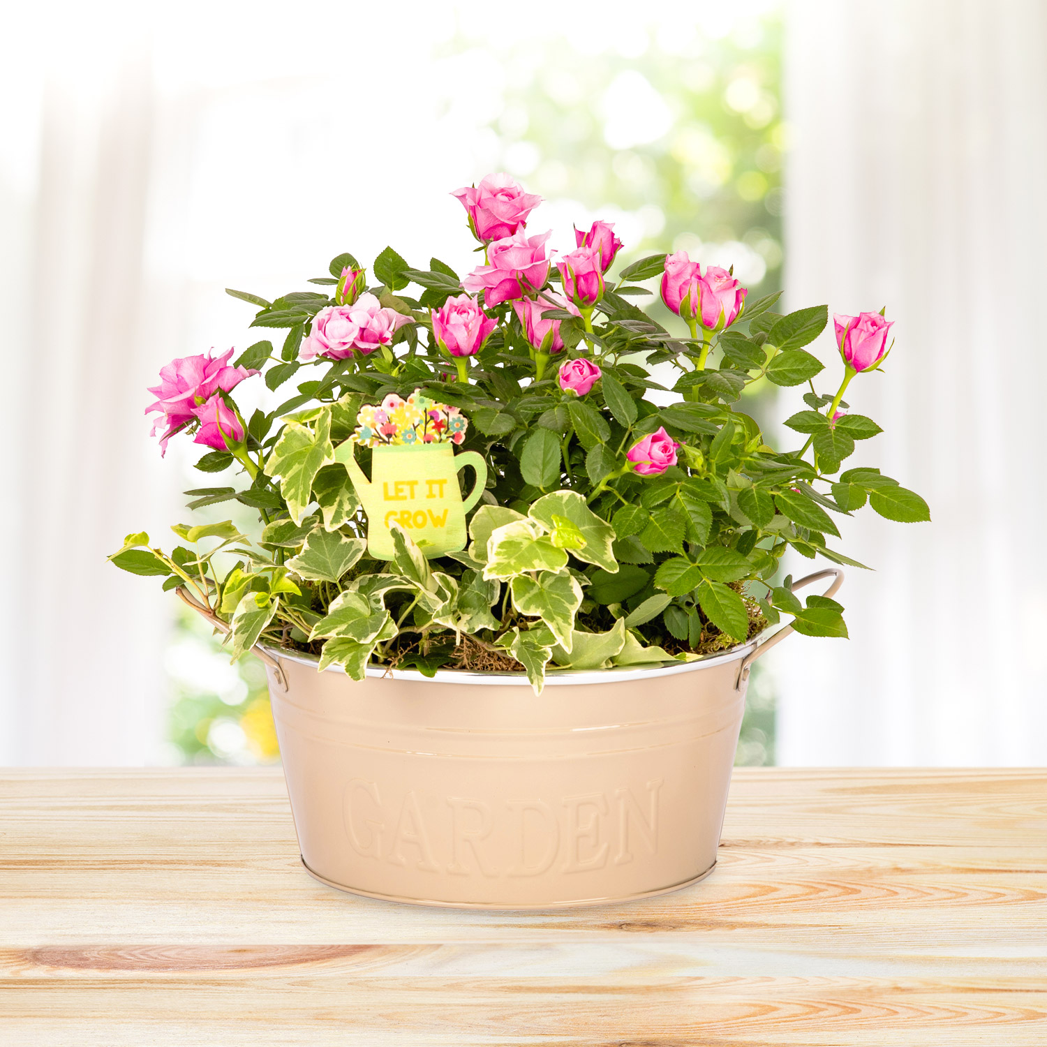 Rosy Mix Planter