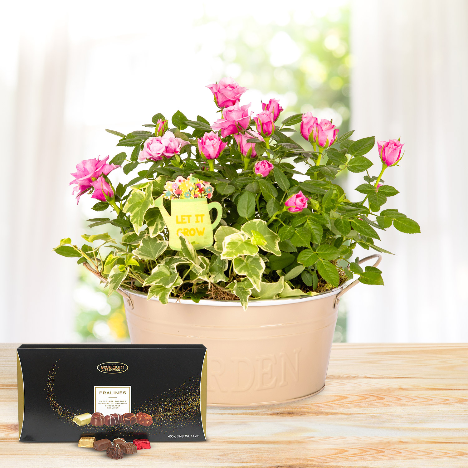 Rosy Mix Planter Deluxe Gift