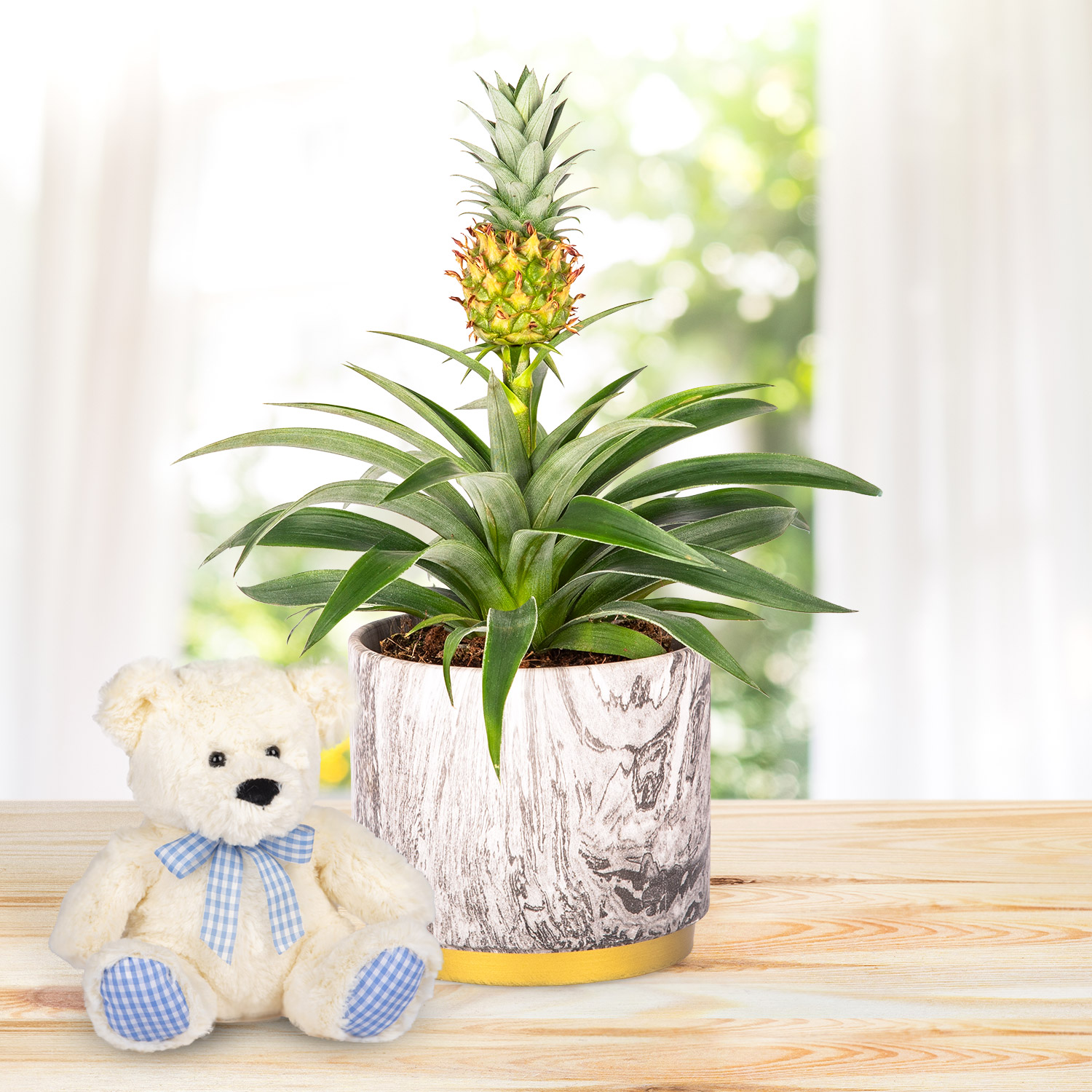 Autumn Pineapple & Bear Gift 