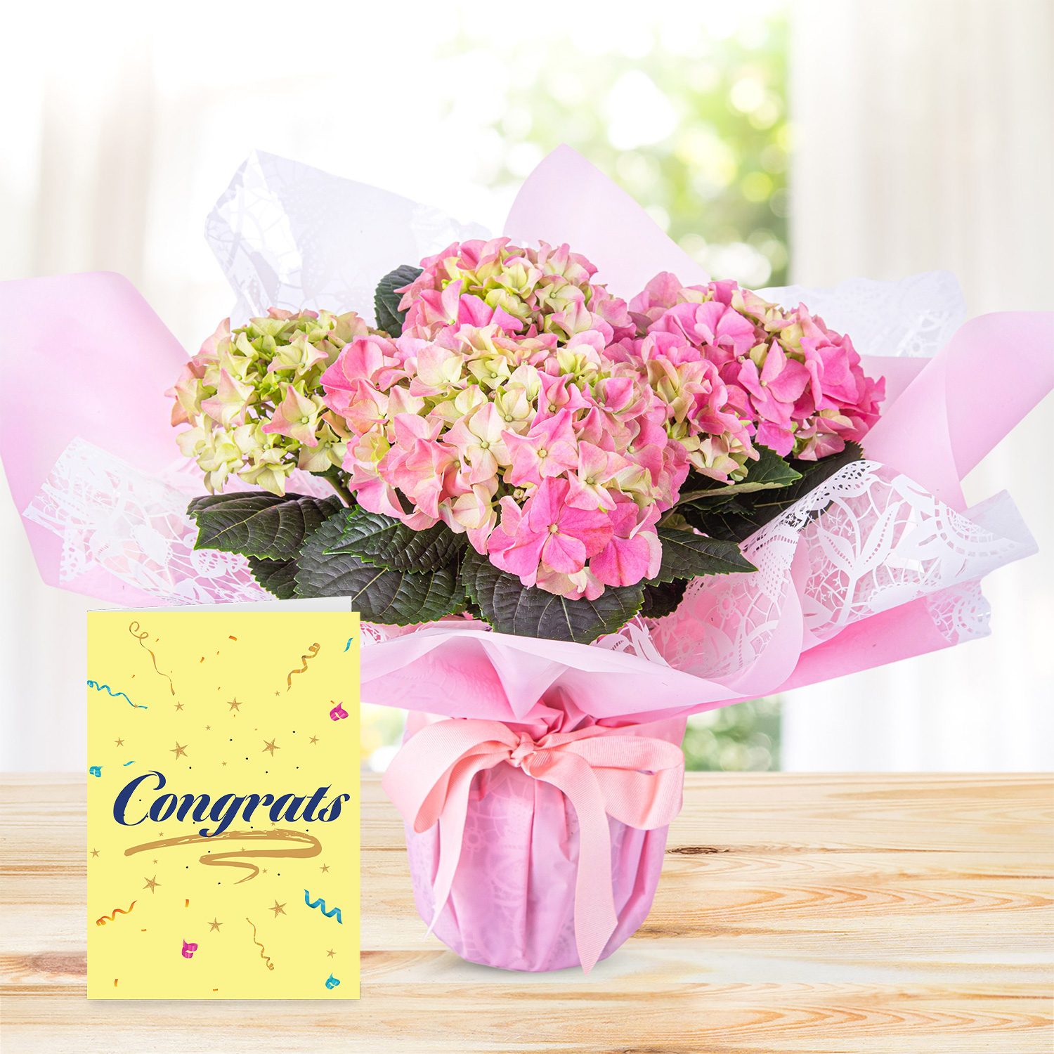 Hydrangea Haven with Congratulations Card