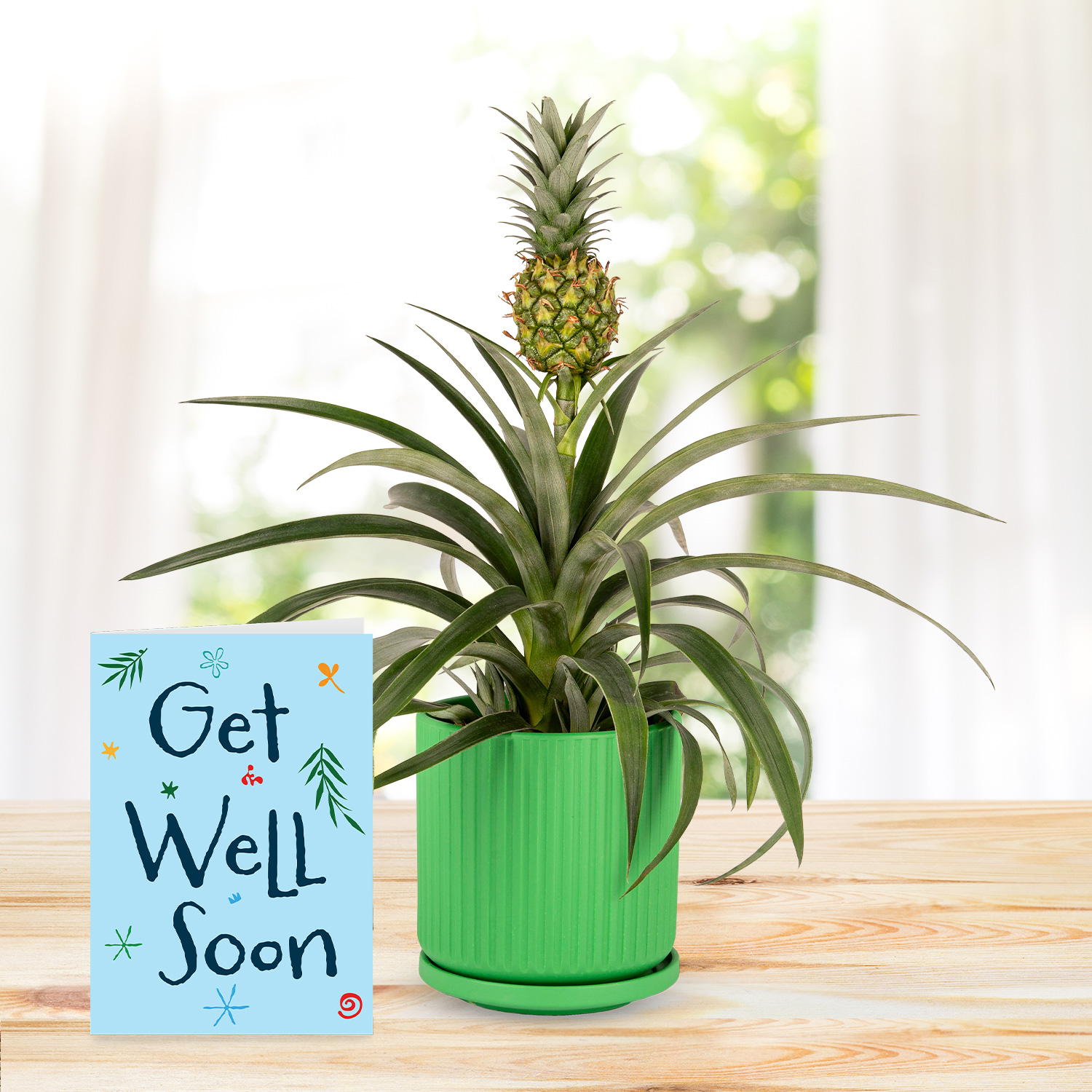 Spring Pineapple with Get Well Soon Card