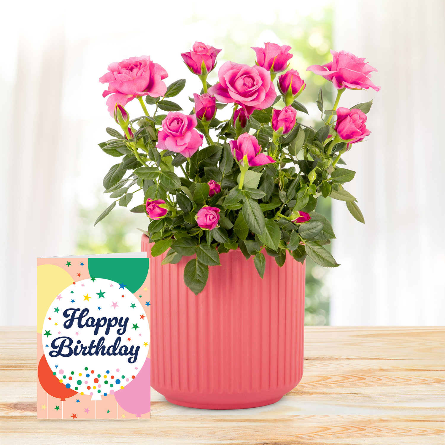 Timeless Roses with Birthday Card