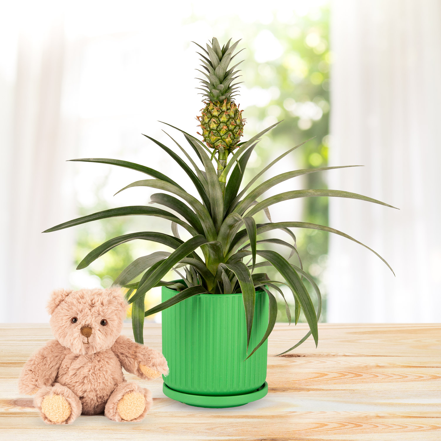 Spring Pineapple & Bear Gift 