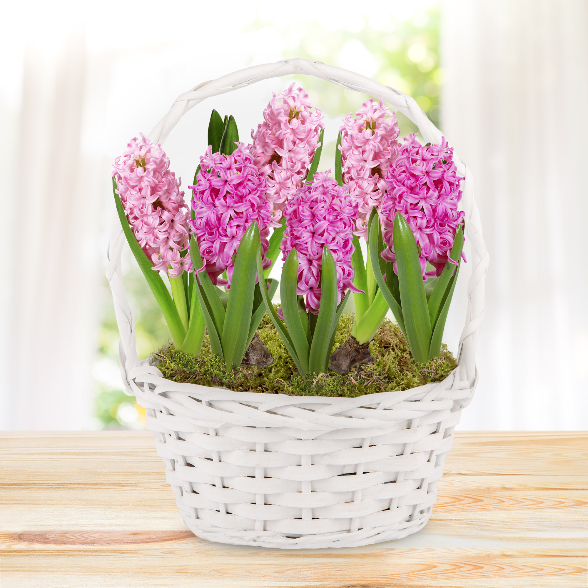 Pink Hyacinth Basket