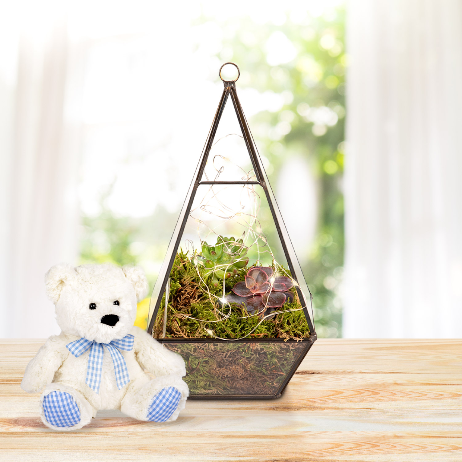 Earthly Eden Terrarium & Bear Gift