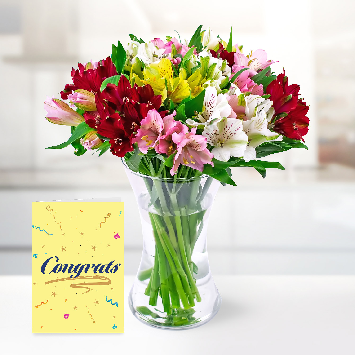 Glorious Alstro with Congratulations Card