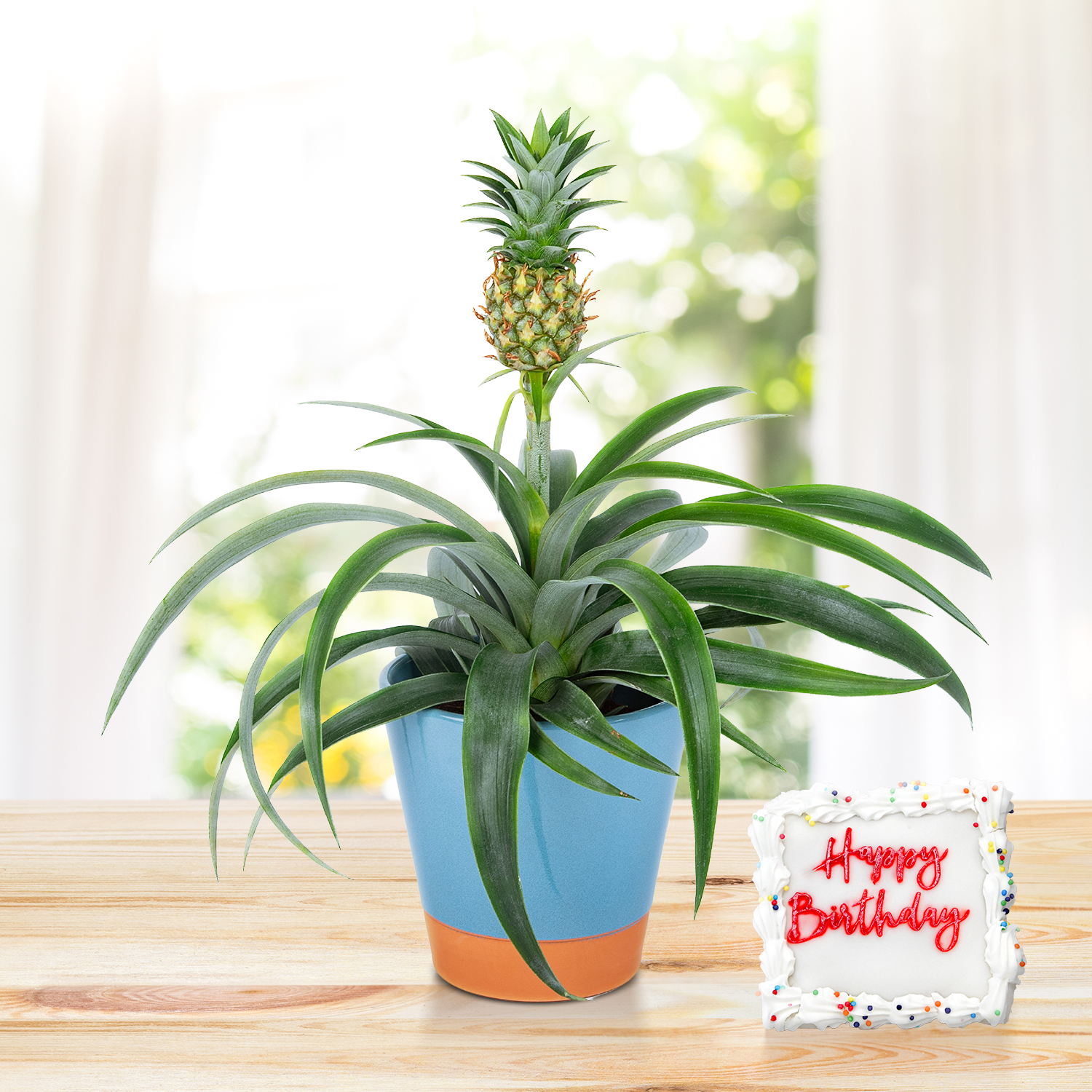 Springtime Pineapple Birthday Gift