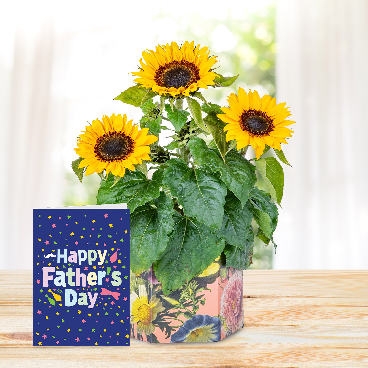 Sunshine Bloom with Father's Day Card
