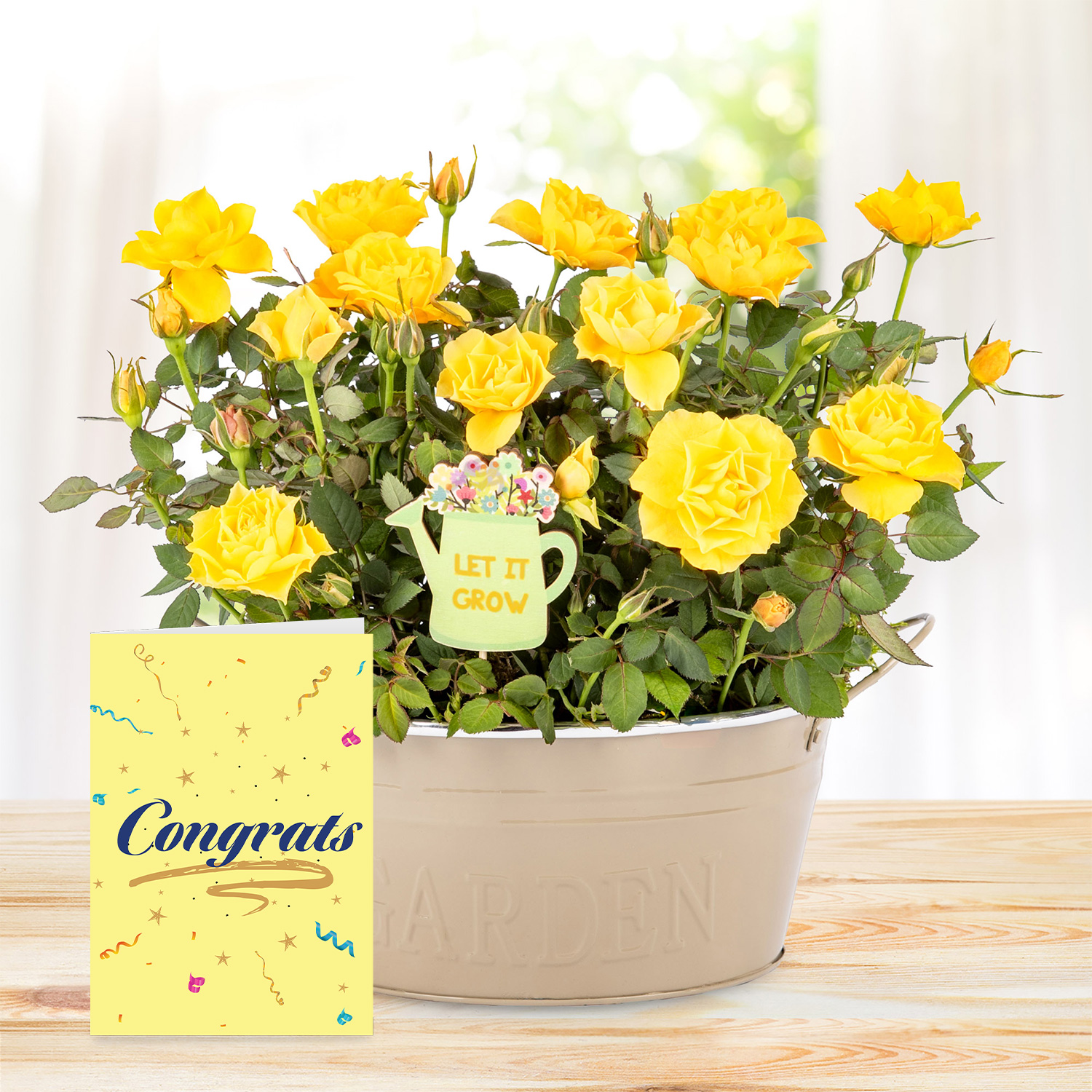 Spring Delight with Congratulations Card