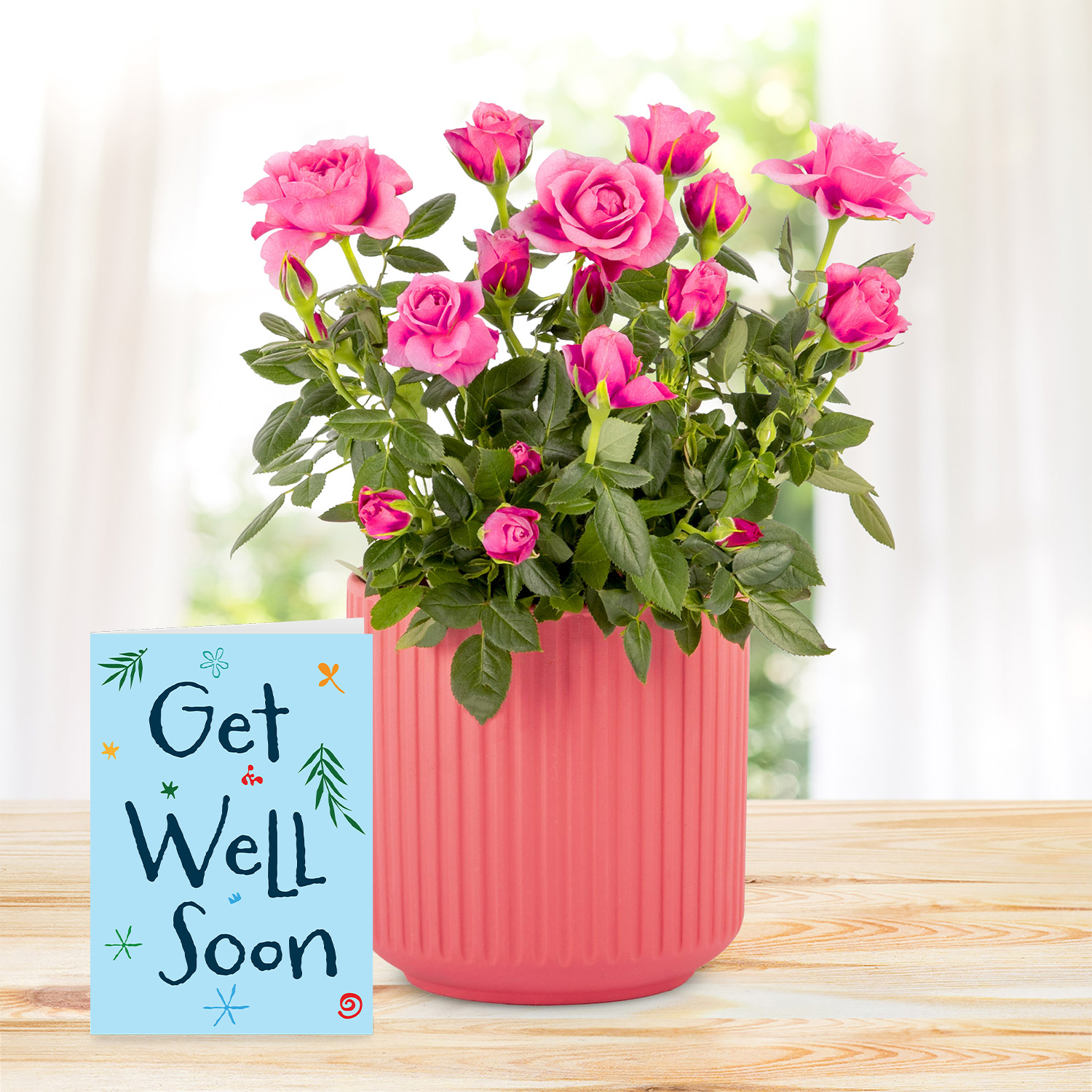 Timeless Roses with Get Well Soon Card