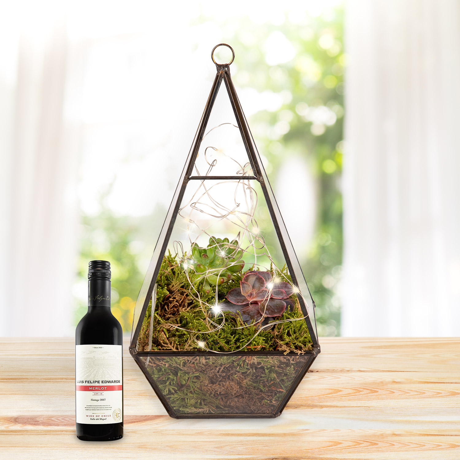 Earthly Eden Terrarium Red Wine Gift