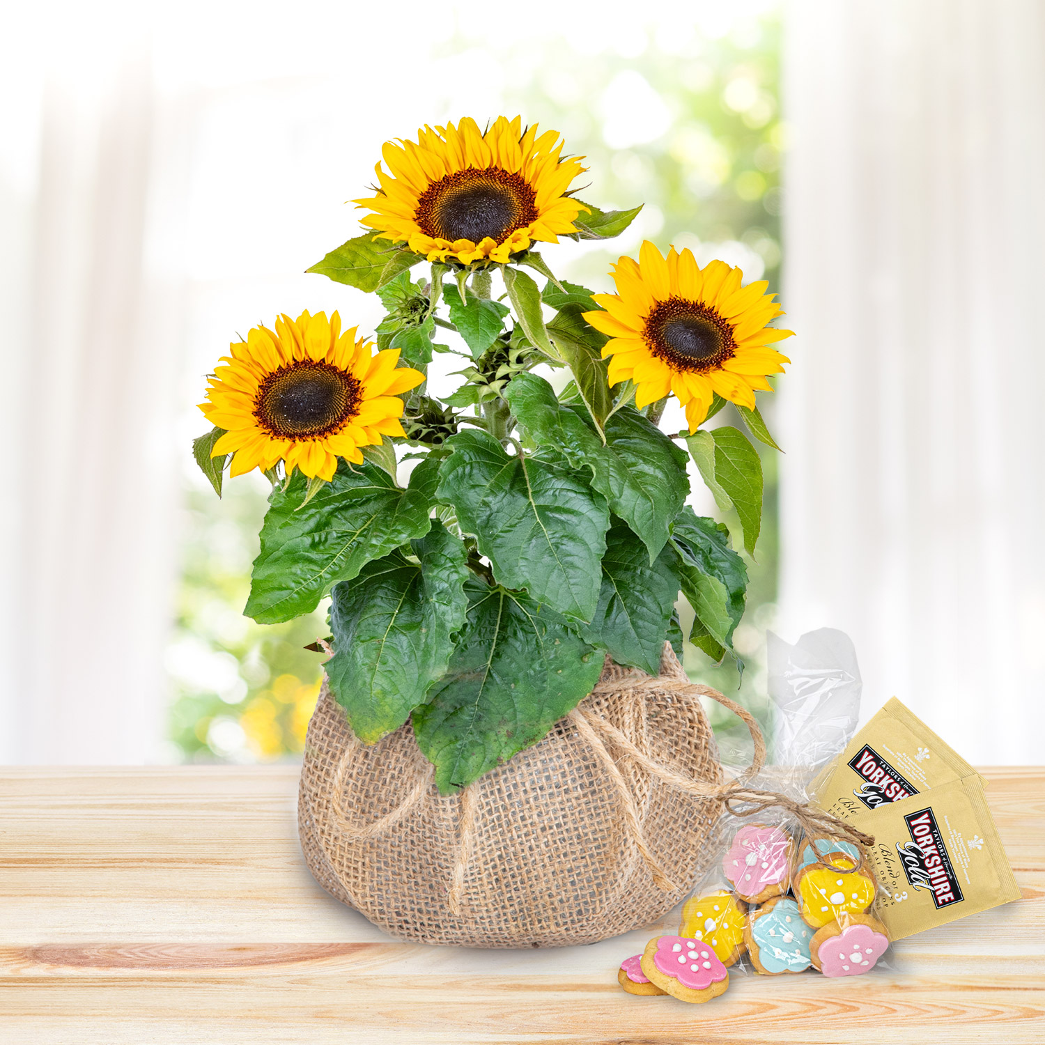 Sunshine Bloom Tea & Biscuits Gift 