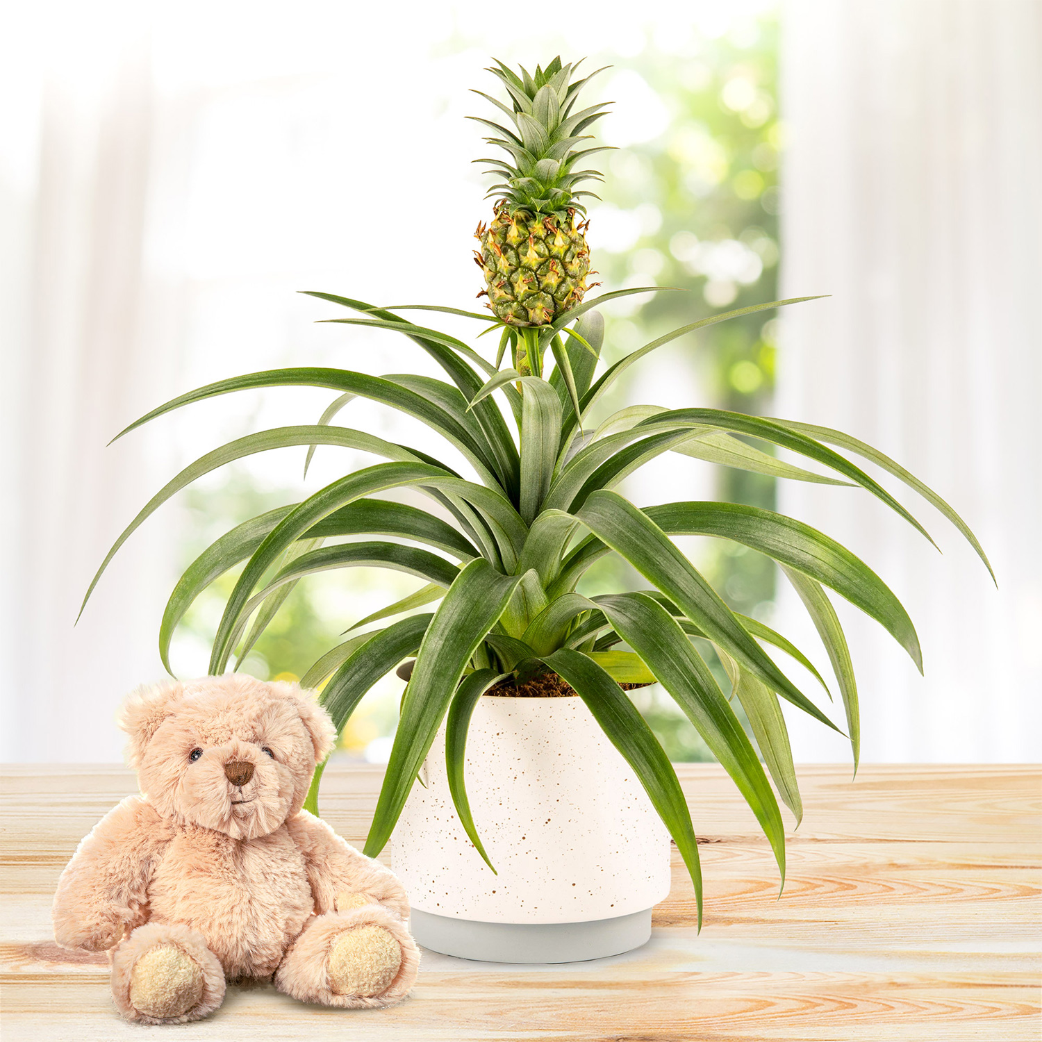 Spring Pineapple & Bear Gift 