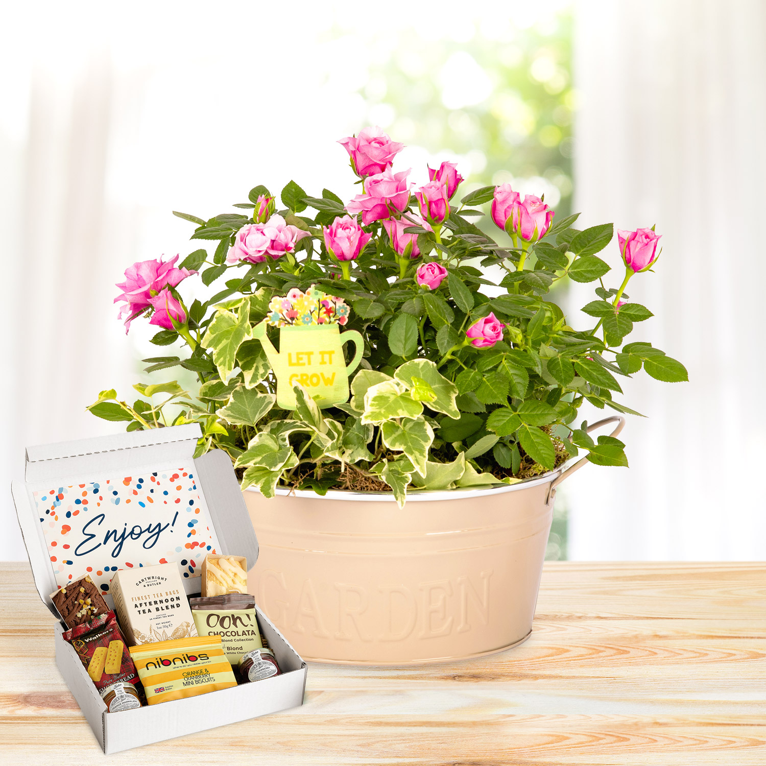 Rosy Mix Planter Afternoon Tea Gift