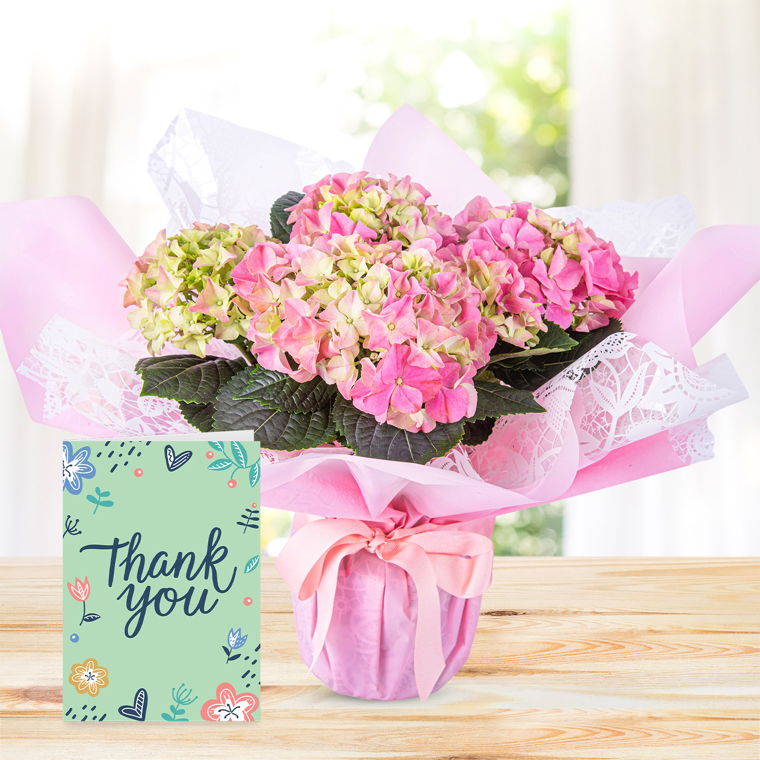 Hydrangea Haven with Thank You Card