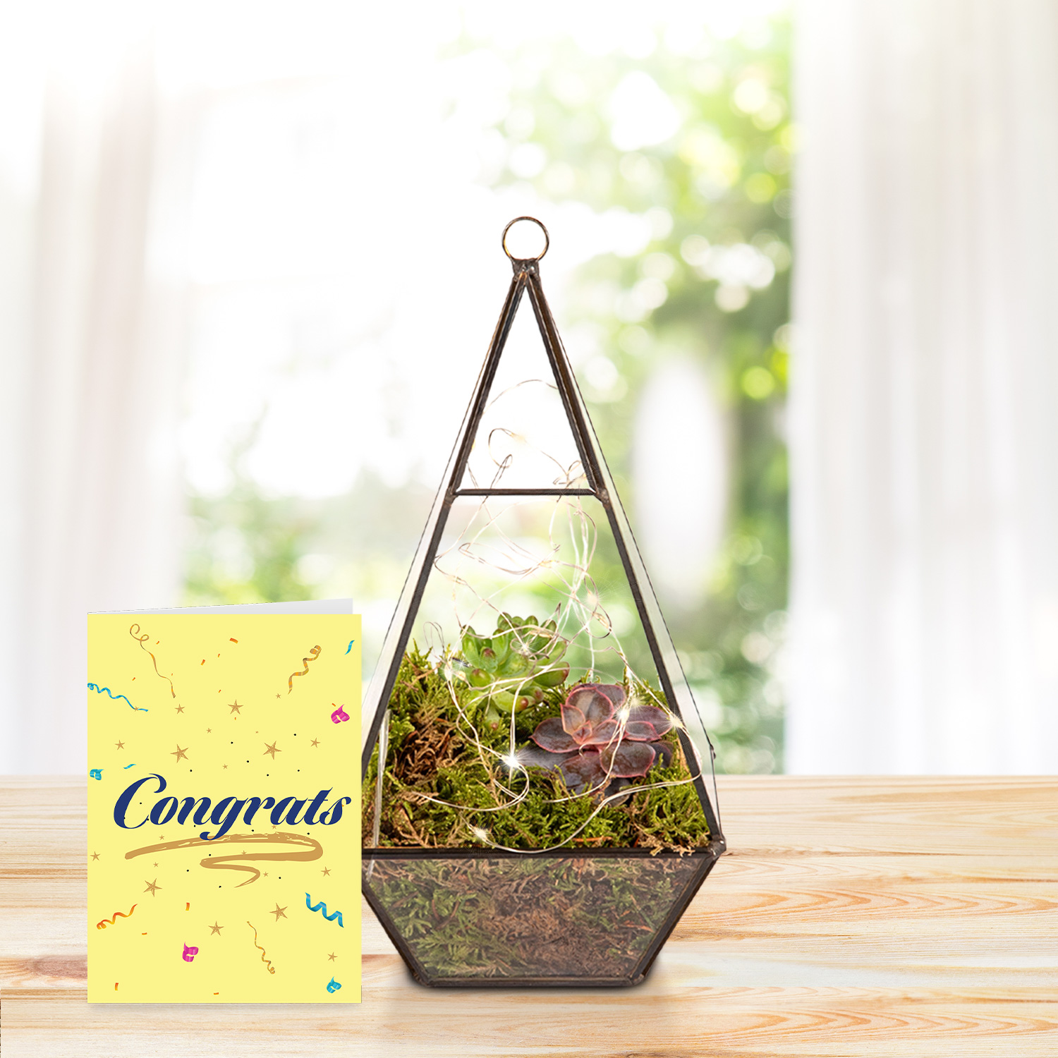 Earthly Eden Terrarium with Congratulations Card