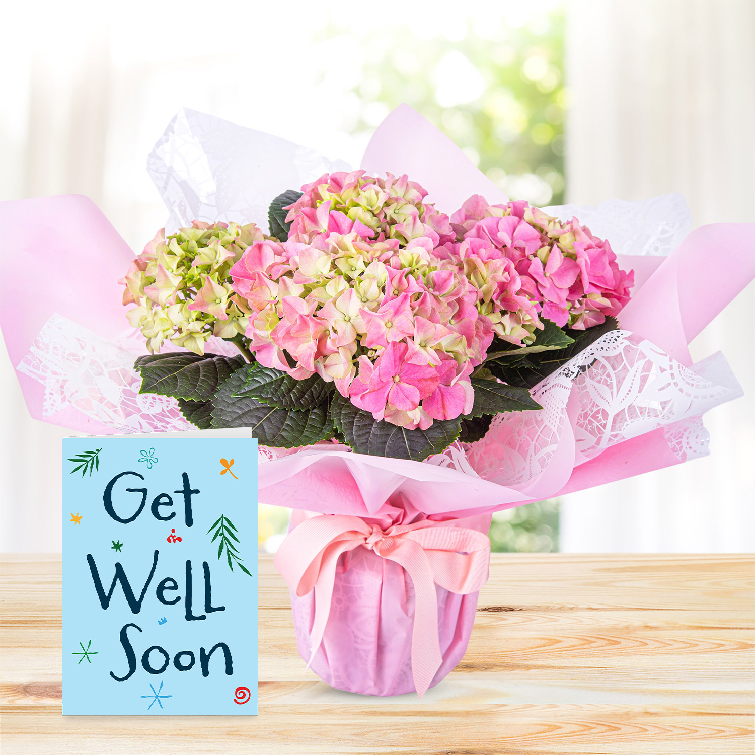 Hydrangea Haven with Get Well Soon Card