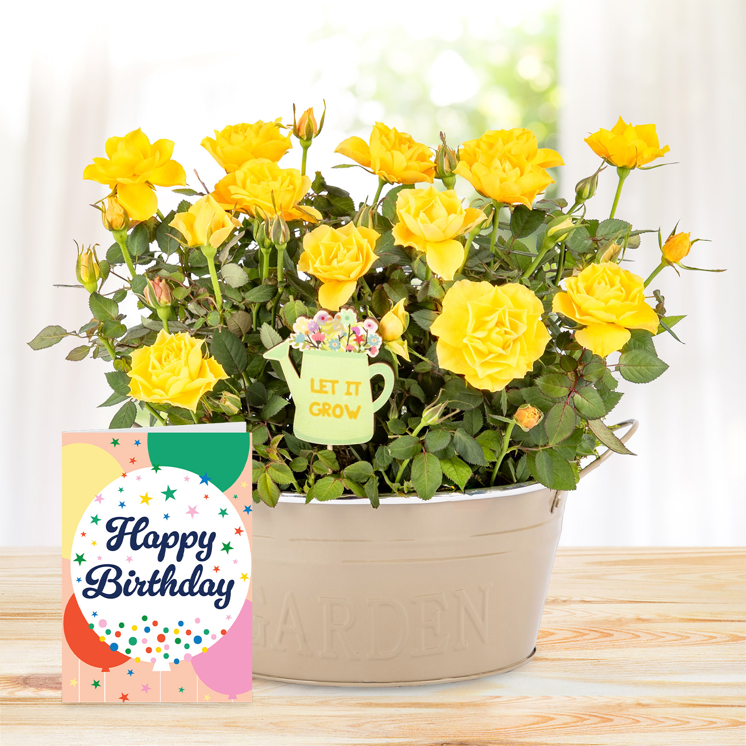 Spring Delight with Birthday Card