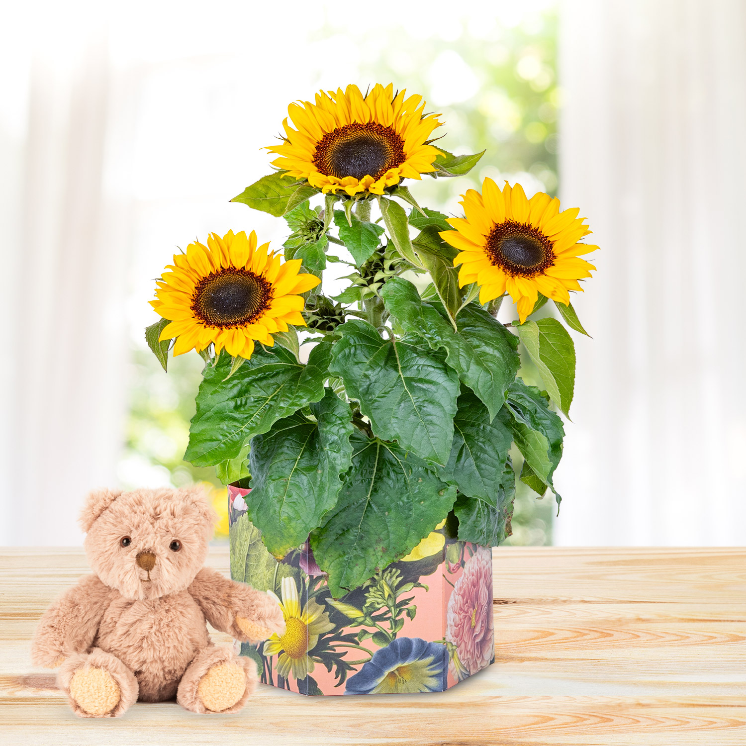 Sunshine Bloom & Bear Gift 