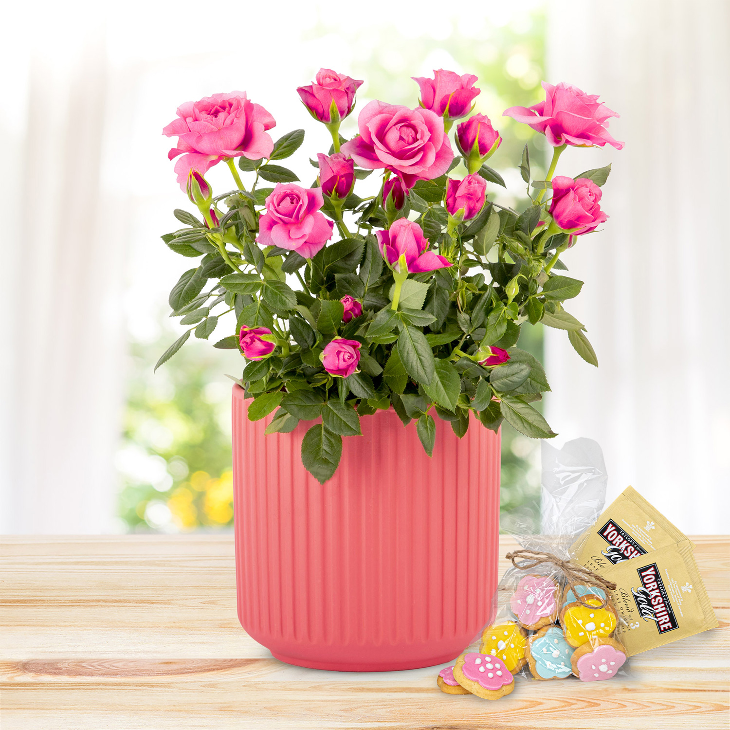 Timeless Roses Tea & Biscuits Gift 
