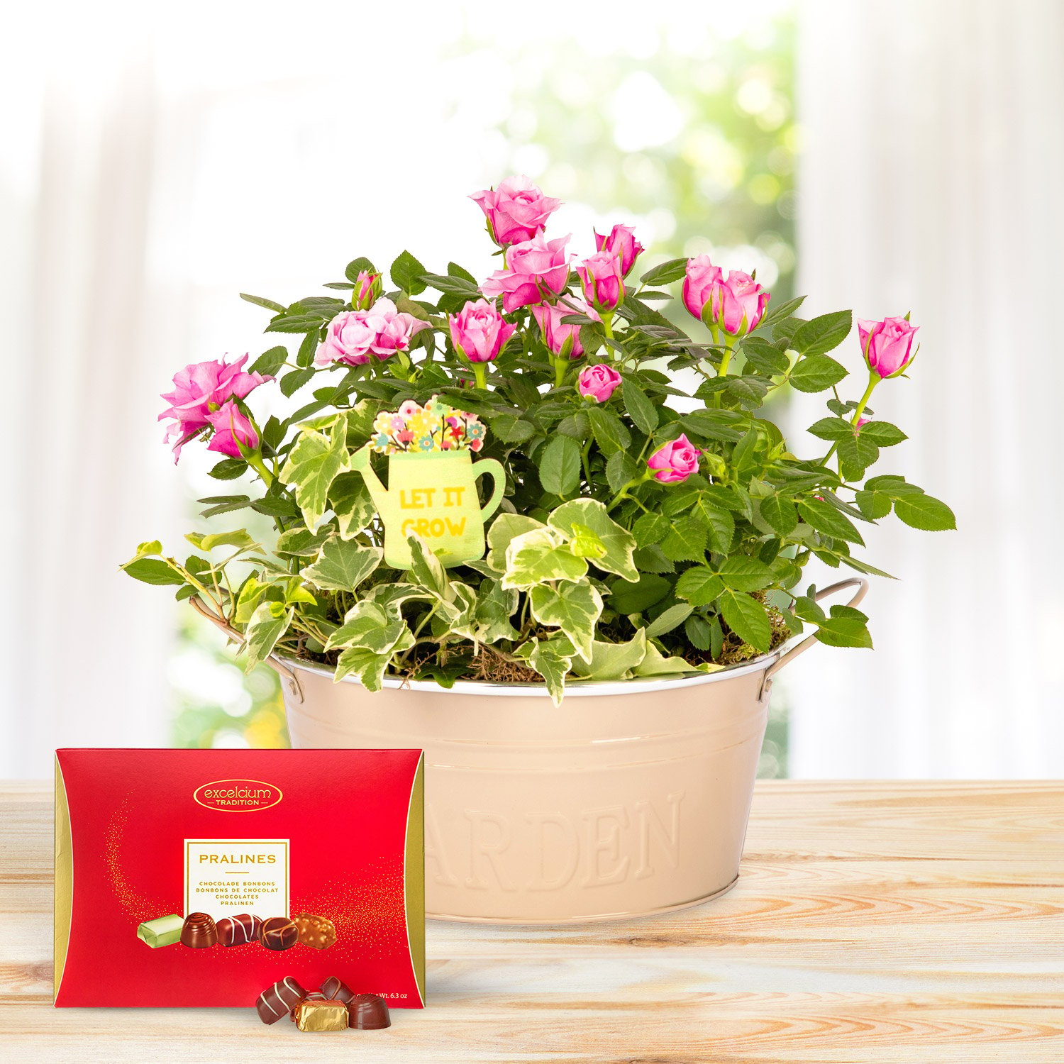 Rosy Mix Planter Luxury Gift