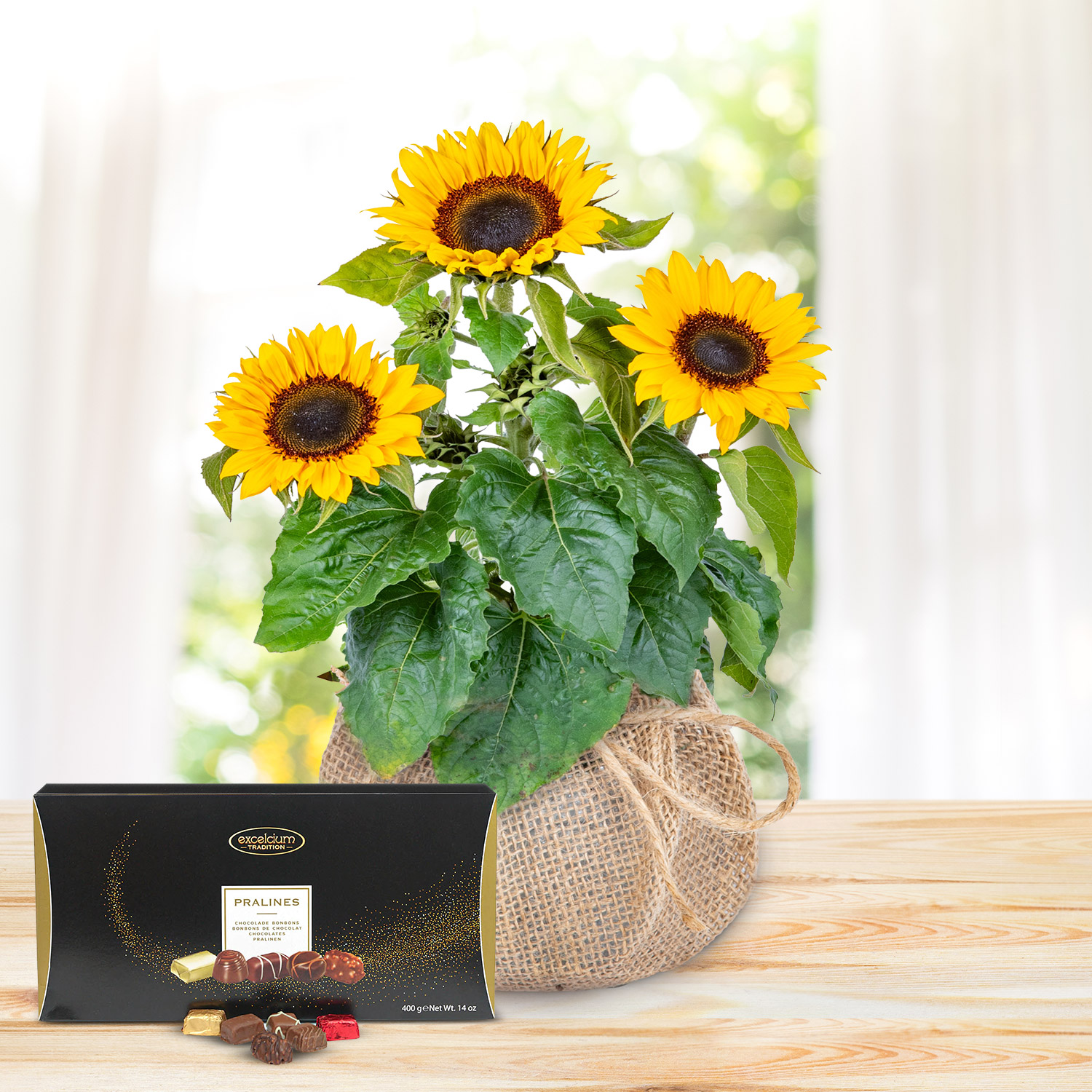Sunshine Bloom Deluxe Gift 