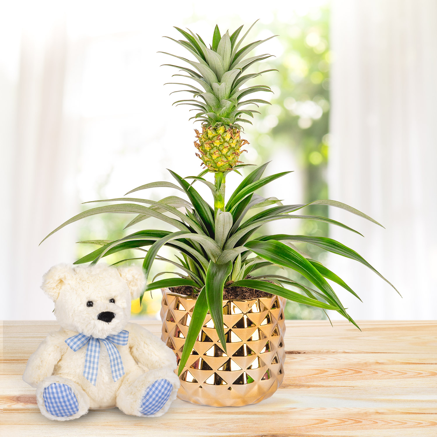 Autumn Pineapple & Bear Gift 