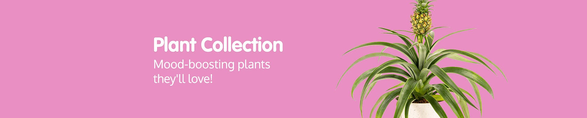 Plants Banner
