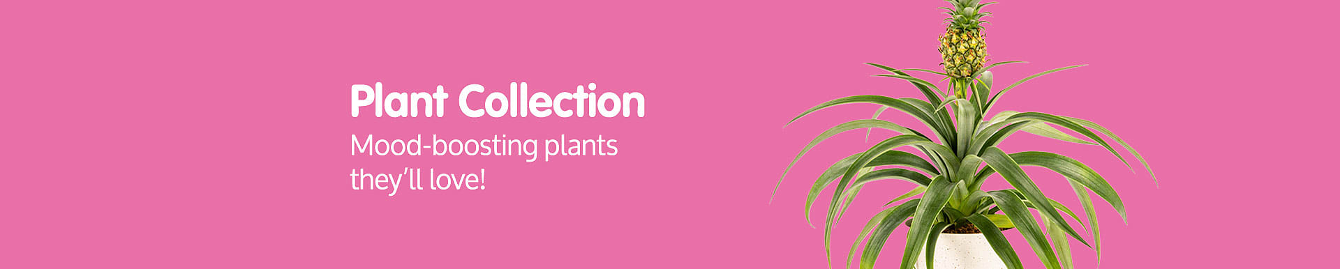 Plants Banner