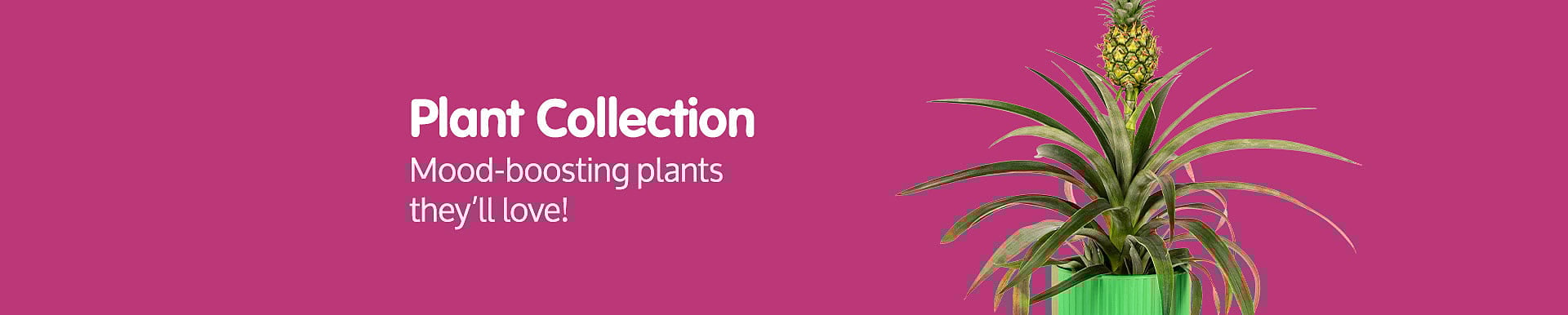 Plants Banner