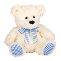 Blue Teddy Bear