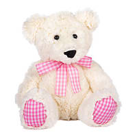 Pink Teddy Bear