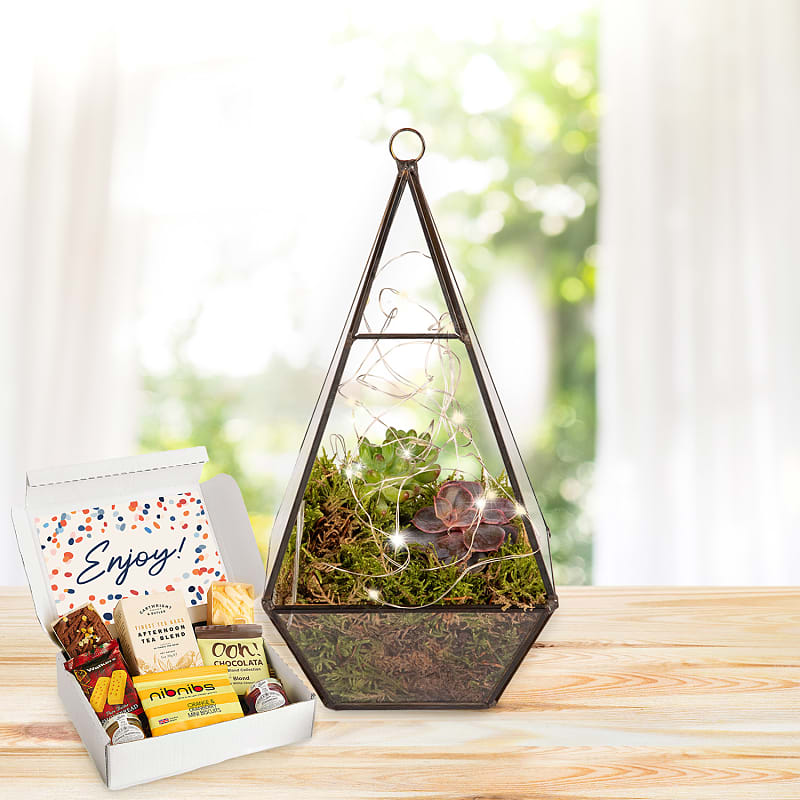 Earthly Eden Terrarium Afternoon Tea Gift 