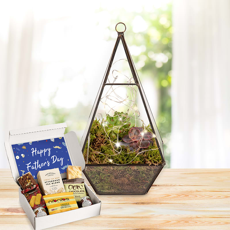 Dad's Earthly Eden Terrarium Afternoon Tea Gift