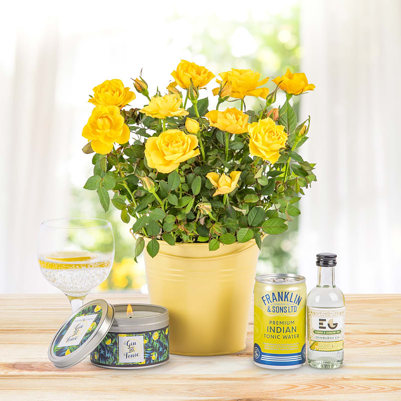 Lemon Roses Gift