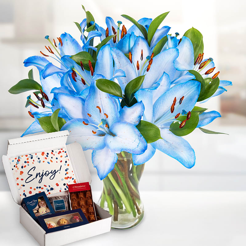 Sea Breeze Chocolate Gift