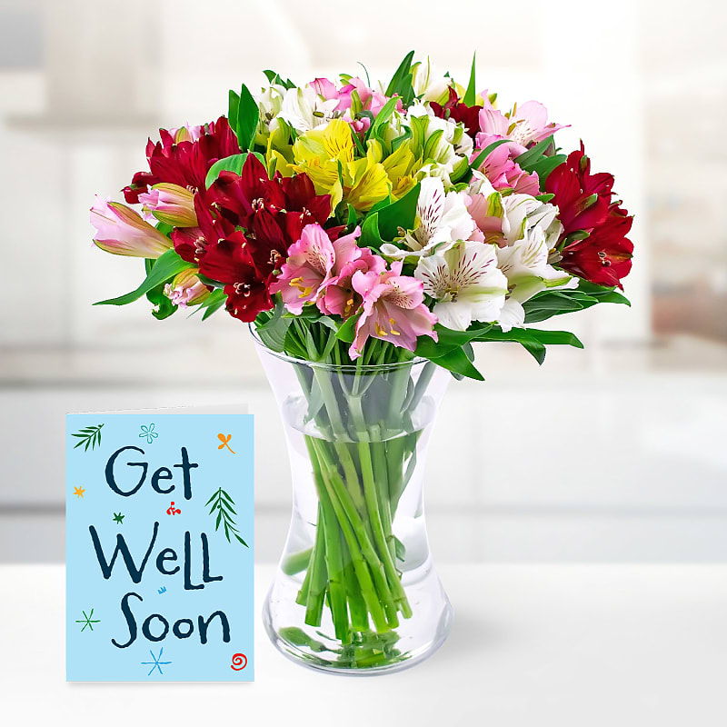 Glorious Alstro with Get Well Soon Card