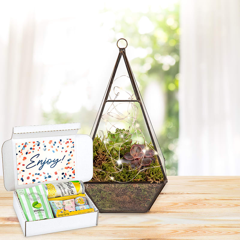 Earthly Eden Terrarium Pamper Gift 