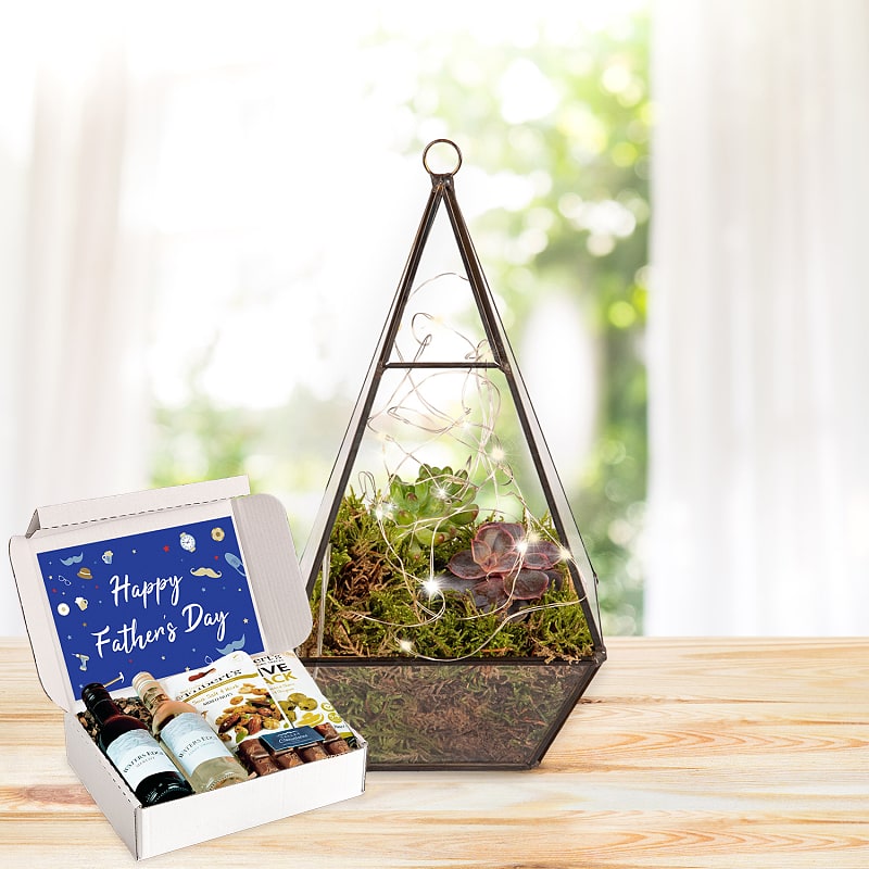 Dad's Earthly Eden Terrarium Wine Delights Gift
