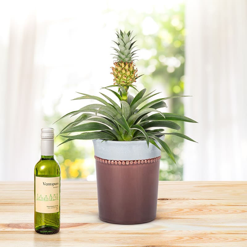 Summer Pineapple White Wine Gift