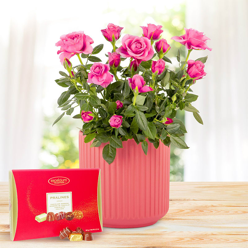 Timeless Roses Luxury Gift