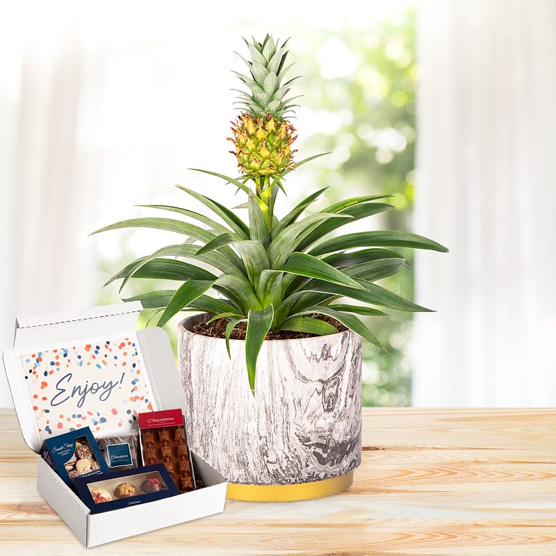 Autumn Pineapple Chocolate Gift 