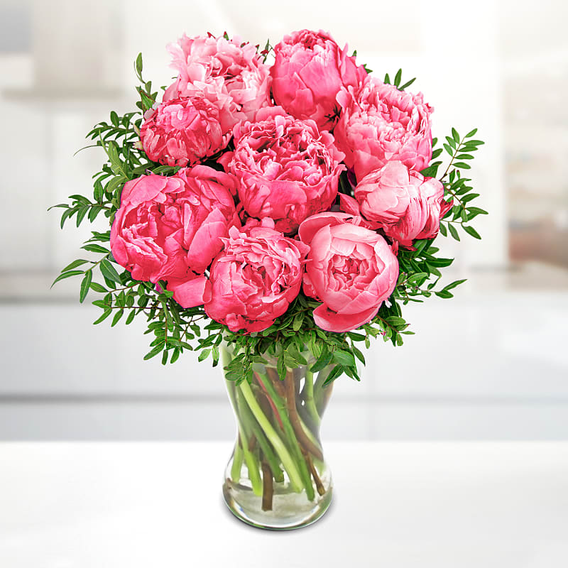 Peony Crush