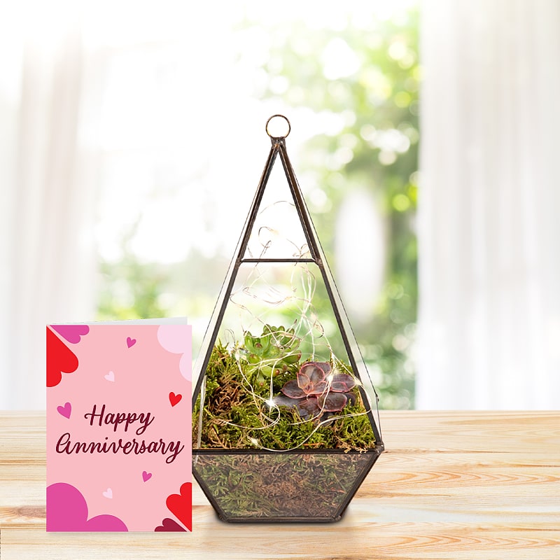 Earthly Eden Terrarium with Happy Anniversary Card