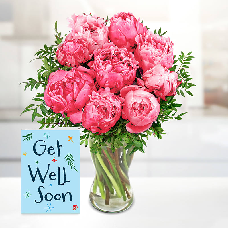 Peony Crush with Get Well Soon Card
